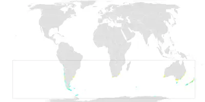 Буревісник велетенський карта середовища проживання