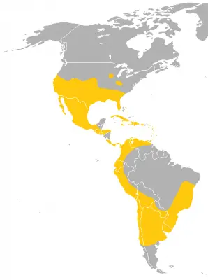 Mexican Free-Tailed Bat habitat map