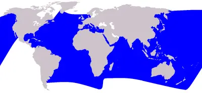 Продельфін смугастий карта середовища проживання