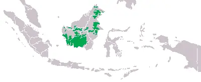Bornean Orangutan habitat map