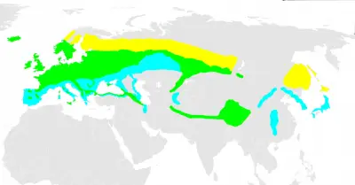 Goldcrest habitat map