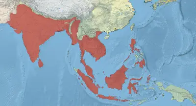 Oriental darter habitat map