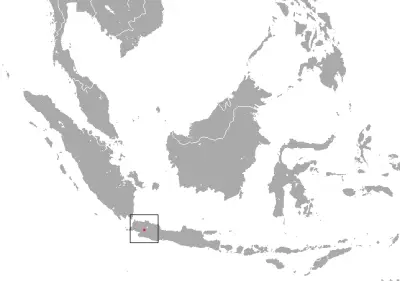 Oriental shrew habitat map