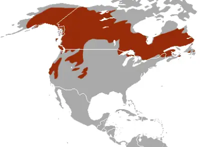American Marten habitat map