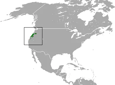 Pacific shrew habitat map