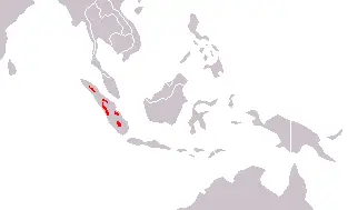 Суматранський тигр карта середовища проживання