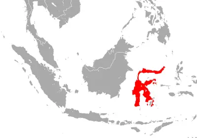 Peleng leaf-nosed bat habitat map