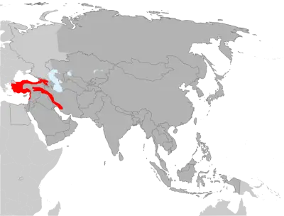 Caucasian squirrel habitat map