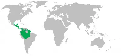 Коата карта середовища проживання