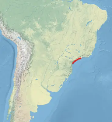 Physalaemus spiniger habitat map