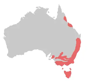 Crimson rosella habitat map