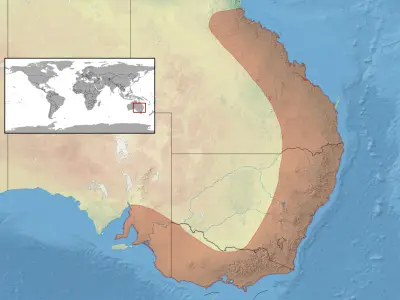 Eastern bearded dragon habitat map