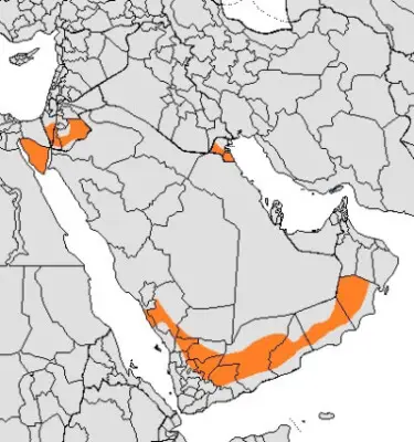 Arabian wolf habitat map