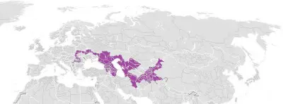 Steppe wolf habitat map