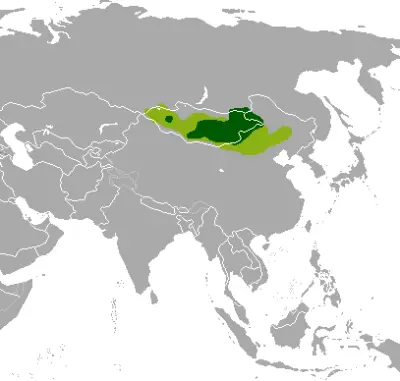 Mongolian gazelle habitat map