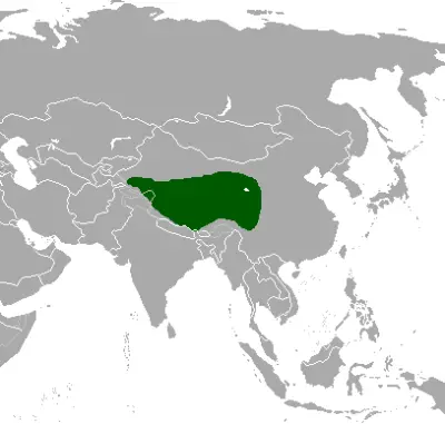 Gacela del tíbet mapa del hábitat