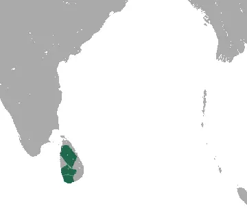 Purple-Faced Langur habitat map