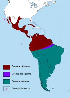 Crested Caracara habitat map