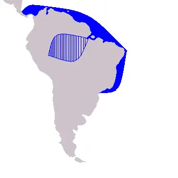 Sotalia guianensis карта середовища проживання