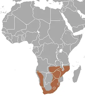 Reddish-gray musk shrew habitat map