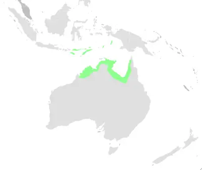 Arafura fantail habitat map