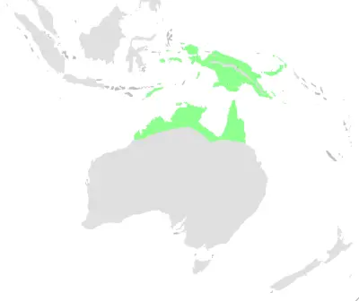 Northern fantail habitat map