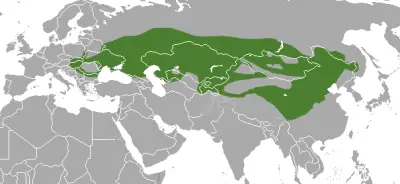 Puzzola delle steppe mappa dell'habitat