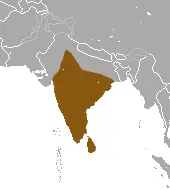 Ruddy mongoose habitat map