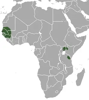 Savanna dwarf shrew habitat map