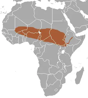 Savanna shrew habitat map