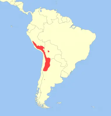 Andean Mountain Cat habitat map