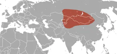 Siberian shrew habitat map