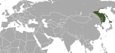 Slender shrew habitat map