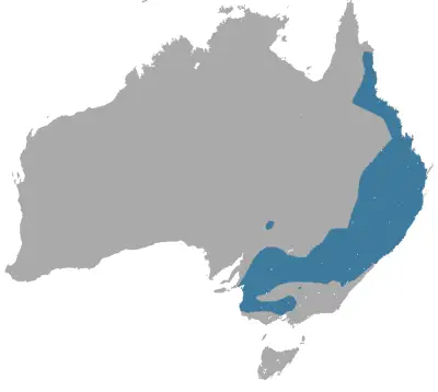 Slender-tailed dunnart habitat map