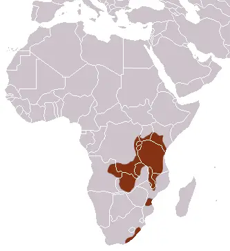 Southern tree hyrax habitat map