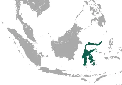 Sulawesi bear cuscus habitat map