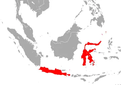 Sulawesi horseshoe bat habitat map
