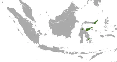 Sulawesi palm civet habitat map