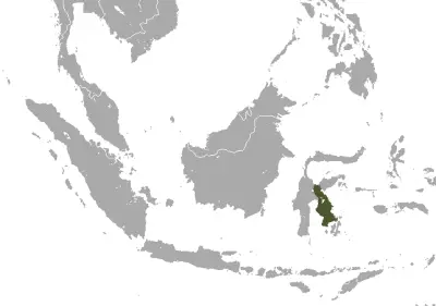Sulawesi tiny shrew habitat map