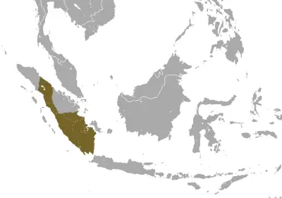 Sumatran surili habitat map