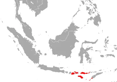 Sumba roundleaf bat habitat map