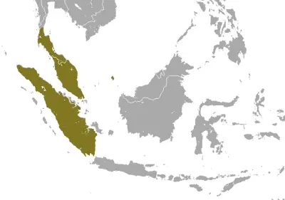 Sunda Slow Loris habitat map