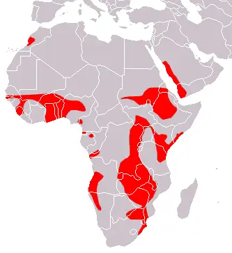 Sundevall's roundleaf bat habitat map