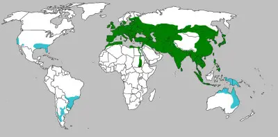 Heude's pig habitat map
