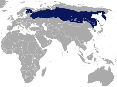 Taiga shrew habitat map