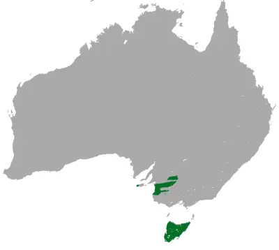 Tasmanian pygmy possum habitat map