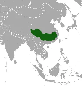 Tibetan macaque habitat map