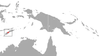 Timor roundleaf bat habitat map