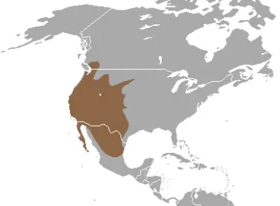 Western Spotted Skunk habitat map