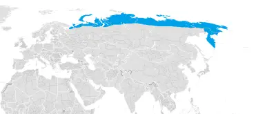 Lupo grigio della tundra mappa dell'habitat